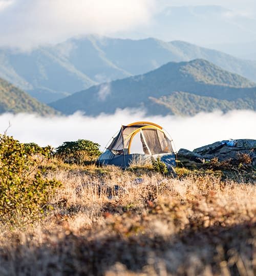 His Highness camp 3